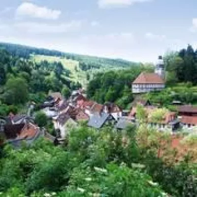 Bild: Waldfest am Tag des praktischen Naturschutzes in Wildemann im Oberharz