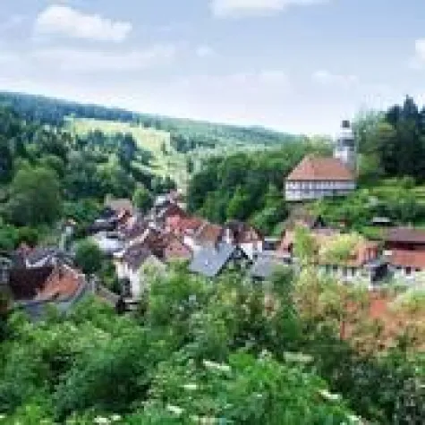 Bild: Waldfest am Tag des praktischen Naturschutzes in Wildemann im Oberharz