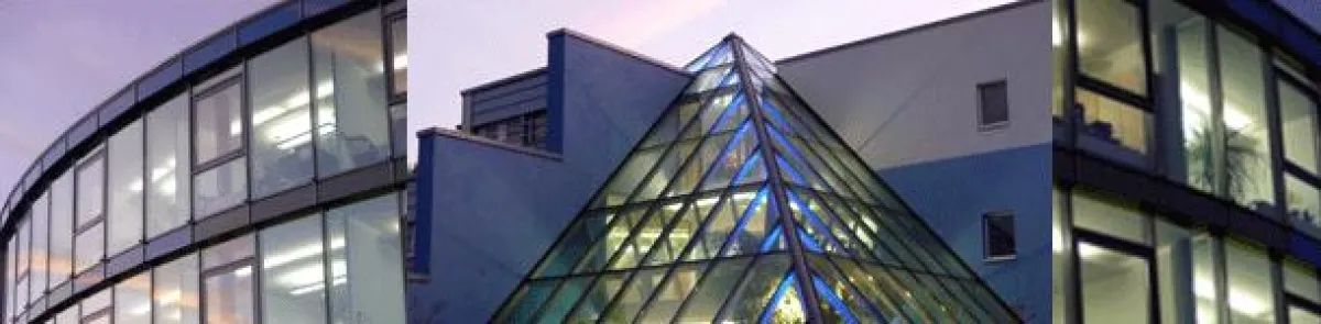 Die School of International Business and Entrepreneurship, SIBE