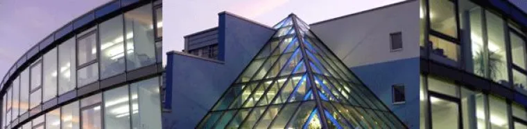 Bild: Elektroingenieure und Jungabsolventen in Zeiten der Wirtschaftskrise