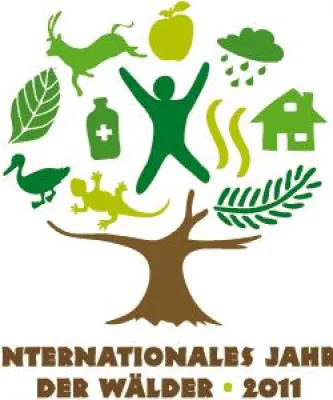 Bild: KWF erwartet vom Internationalen Jahr der Wälder deutlichen Impuls für nachhaltig betriebene Forstwirtschaft