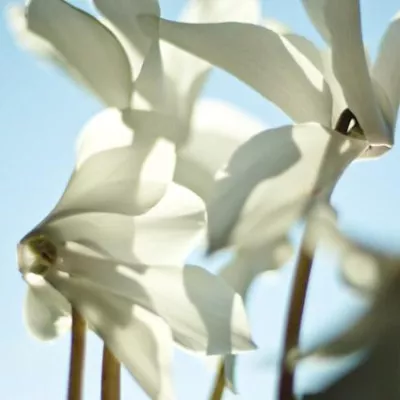 Bild: Blende und Belichtungszeit, Fotokurs für Einsteiger am 27.06.2009 mit Meike Fischer, Frankfurt