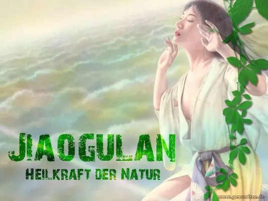 Bild: Jiaogulan - Heilkraft der Natur