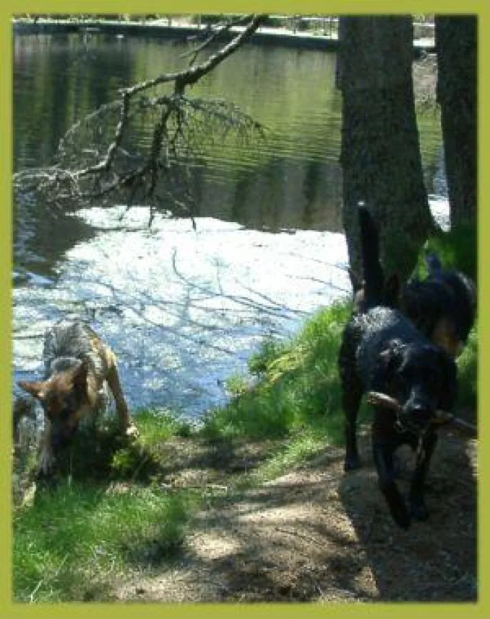 Genießen Sie eine prächtige Naturlandschaft an der Glaststraße entlang