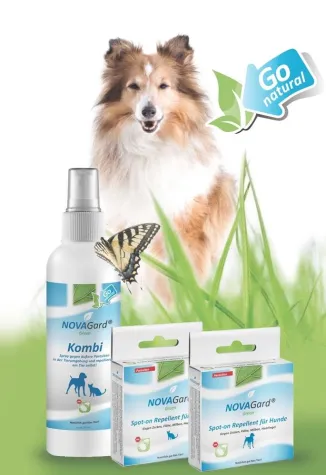 Bild: Zeckenmittel für Hunde und Katzen - worauf Sie bei der Auswahl Ihres Zeckenschutzmittels achten sollten