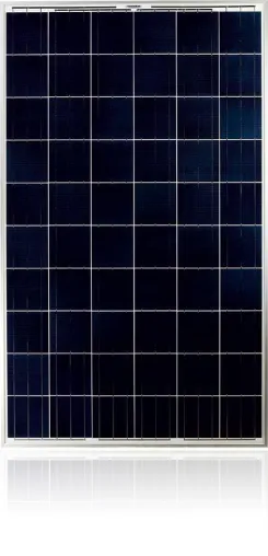 WINAICO mit mehr als 35.000 WST-Modulen bei Hollands größter Aufdachanlage Bild: WINAICO mit mehr als 35.000 WST-Modulen bei Hollands größter Aufdachanlage