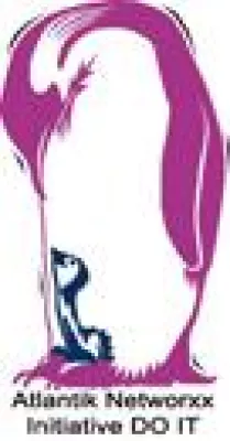 Bild: INITIATIVE DO IT e.V. ist 2008 gut gestartet