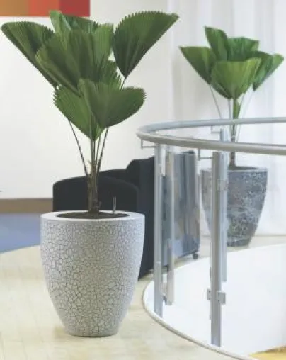 Bild: Blumentopf für Innenraum-Gestaltung entdeckt