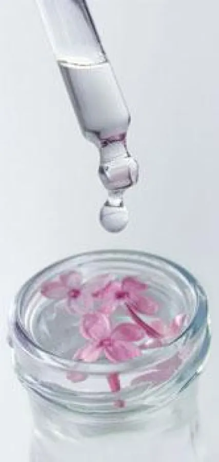 Herstellung eigener Düfte mit natürlichen Essenzen