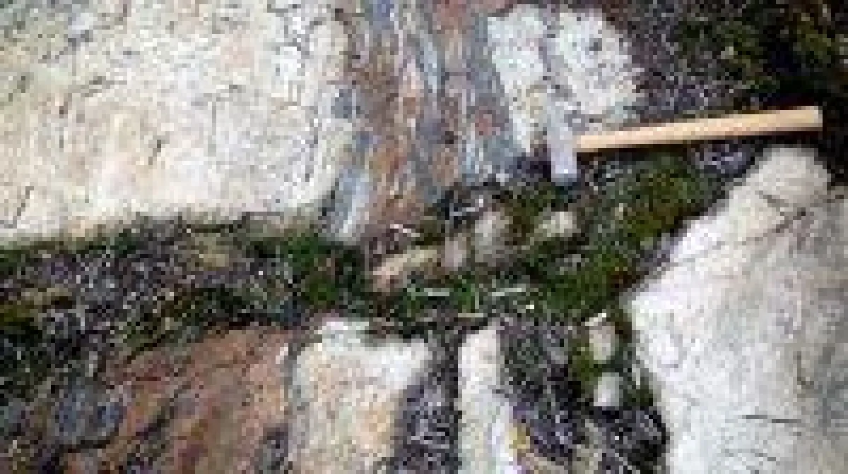 Quelle: TerraX Minerals