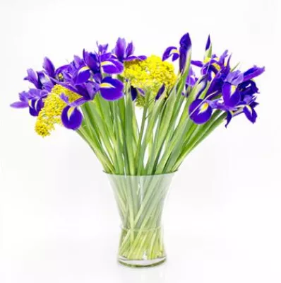 Bild: Blumeno.de lässt zum Internationalen Frauentag Blumenabo sprechen