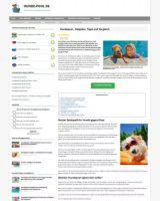 5 Dinge, die du für deinen Hund im Sommer unbedingt tun solltest Bild: 5 Dinge, die du für deinen Hund im Sommer unbedingt tun solltest