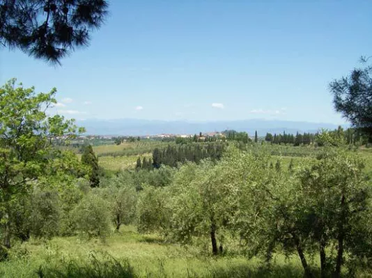 Auf Trüffel-Tour mit dem eigenen Hund Bild: Auf Trüffel-Tour mit dem eigenen Hund