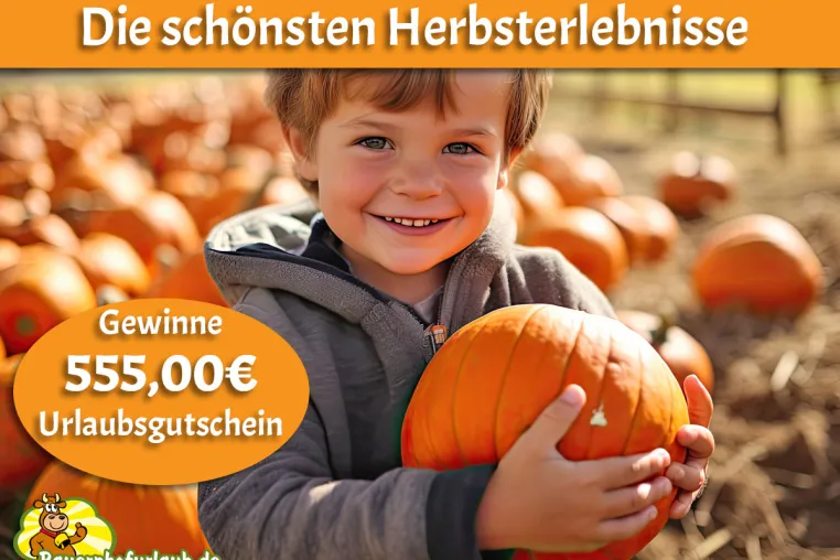 Bild: Die schönsten Herbsterlebnisse - Jetzt Urlaubsgutschein gewinnen