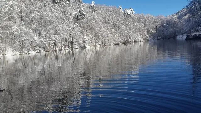 Winterzauber der malerischen Schwarzmeerküste in Türkiye Bild: Winterzauber der malerischen Schwarzmeerküste in Türkiye
