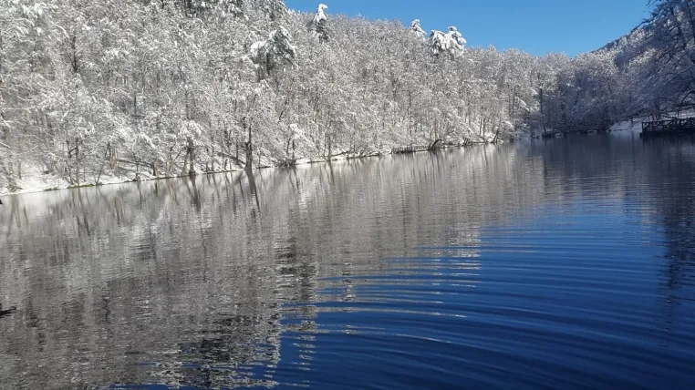 Bild: Winterzauber der malerischen Schwarzmeerküste in Türkiye