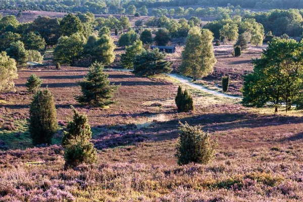 Bild: Fototour im Herzen der Lüneburger Heide