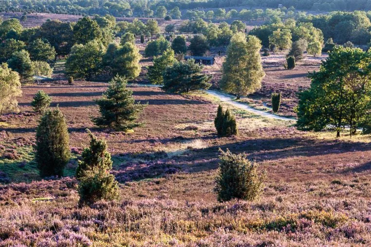 Bild: Fototour im Herzen der Lüneburger Heide