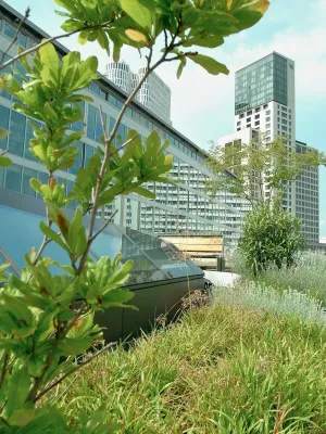 Bild: Die Gründach-Bundesliga hat begonnen