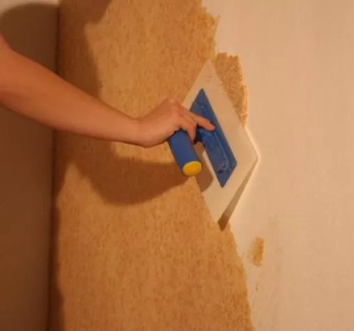 Bild: Gesundes Wohnklima schaffen mit Baumwolle an Wand und Decke