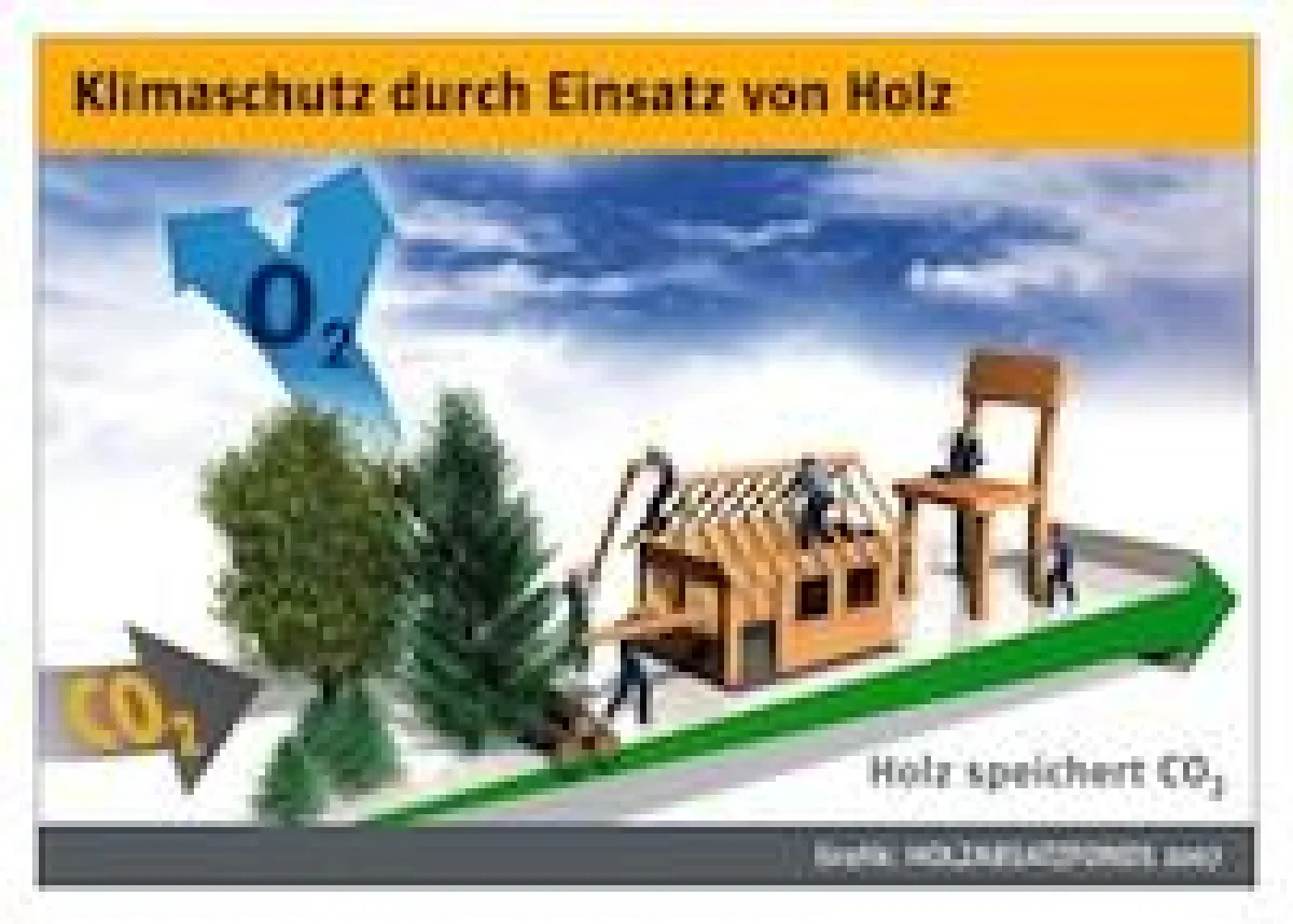 Holz speichert CO2 ein Leben lang. (Copyright: HAF)