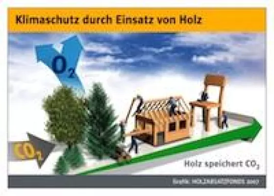 Bild: Holzindustrie zieht Klimabilanz