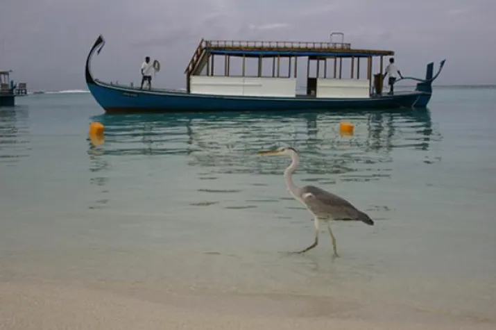 Bild: One & Only Kanuhura, Malediven – Jurybesuch des World Hotel Award