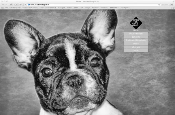Bild: haustierfotograf.ch bietet Hunde-Portraits rund um den Zürichsee