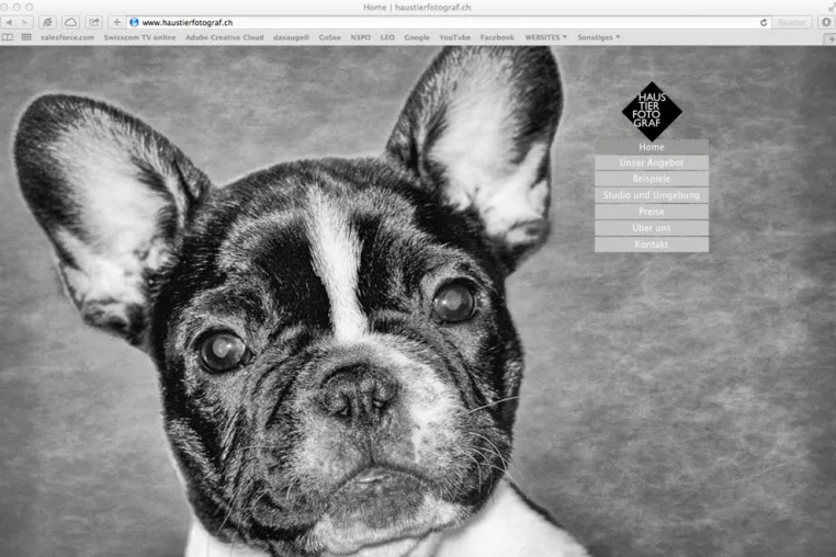 Bild: haustierfotograf.ch bietet Hunde-Portraits rund um den Zürichsee
