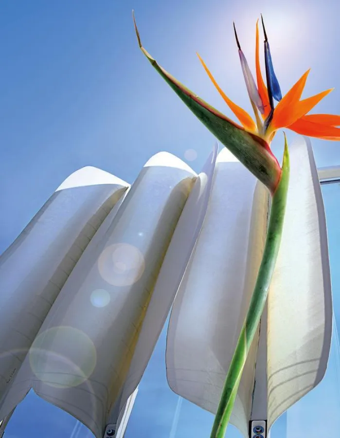 Verschattungssystem/Strelitzia reginae. (Foto, Urheber/Copyright: J. Lienhard/T. Kulikova/Shutterstock, Bearbeitung: SMNS, R. Baumann.)