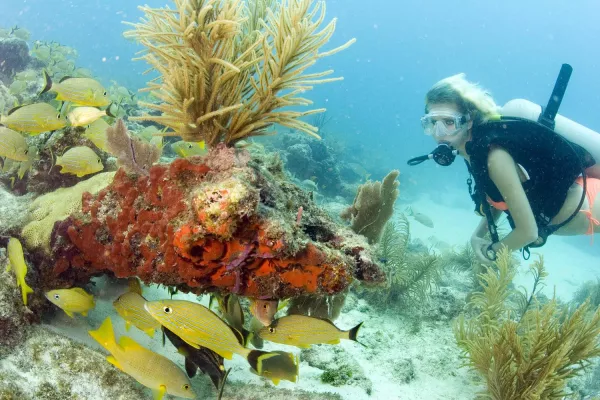 Bild: Auf Tauchstation im Florida Keys National Marine Sanctuary