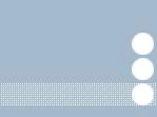 Bild: Vortrag 17.6.2010: Change Controlling