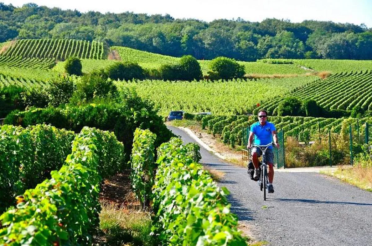Radfahrer in der Champagne, Bild: CRTCA