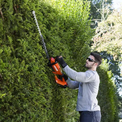 Bild: Die ziemlich grüne Akku-Heckenschere