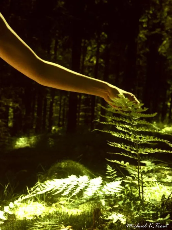 Crossbird der Kultfilm