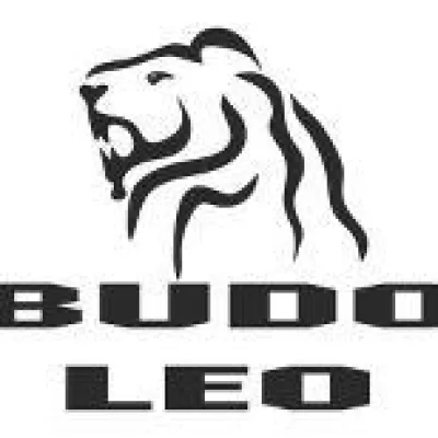 Bild: Programmverbesserung bei Kampfsportschule BUDO-LEO