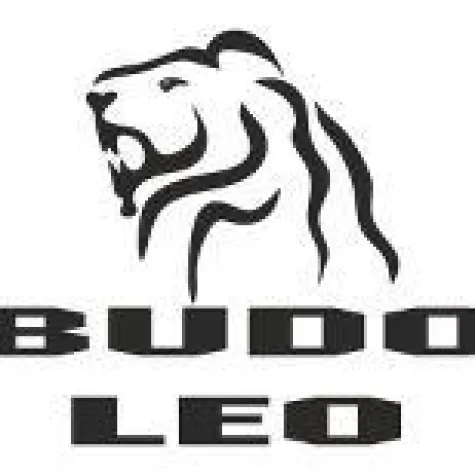 Programmverbesserung bei Kampfsportschule BUDO-LEO Bild: Programmverbesserung bei Kampfsportschule BUDO-LEO