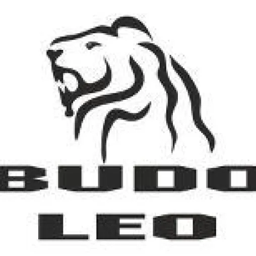 Bild: Programmverbesserung bei Kampfsportschule BUDO-LEO