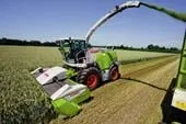 Ackergiganten zur Erntezeit: Maishäcksler mit über 500 PS Bild: Ackergiganten zur Erntezeit: Maishäcksler mit über 500 PS