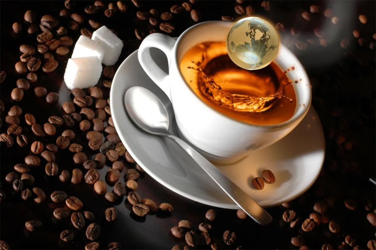 Die köstliche Welt von Gourvita.com - über 200 Kaffees, Tee und Schokolade