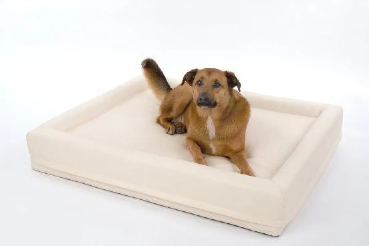 Modernes Hundewasserbett der Luxusklasse