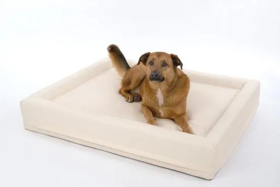 Bild: Welche Vorteile bieten Hundewasserbetten gegenüber herkömmlichen Hundeschlafplätzen?