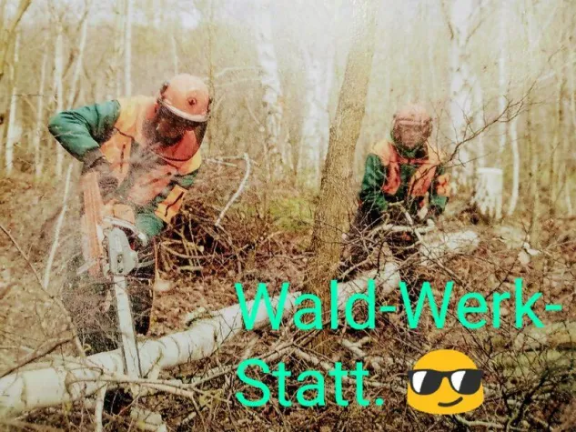 Bild: Umwelt- und Klimaschutz und nachhaltige Forstwirtschaft