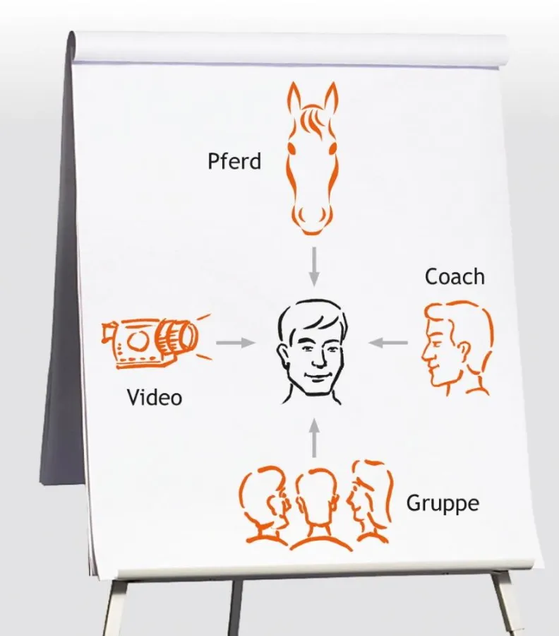 4D - Feedback = Rückmeldung  aus vier verschiedenen Dimensionen