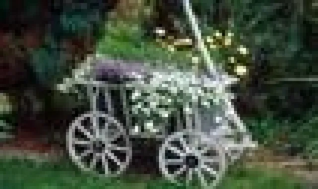 Bild: Frühlingserwachen in Cottbus - Mit dem Sorat Hotel Cottbus in die Kahnfahrtsaison starten