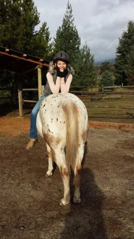 Bild: Europäische Pferde Akademie feiert 12 jähriges Bestehen