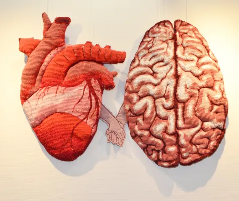 Bild: Der Mensch im Detail, 17.10.-22.11.2025