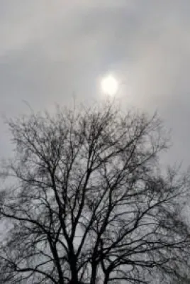 Bild: Keine Chance für die Winterdepression - mit einer gezielten Mikronährstofftherapie