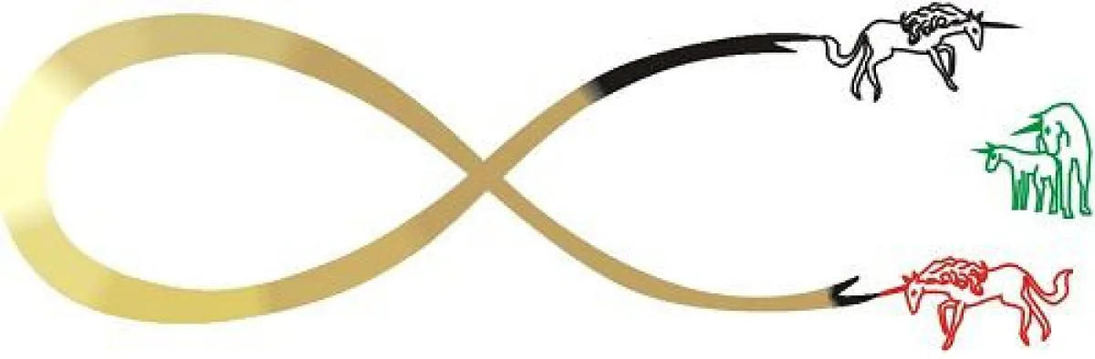Gold-bunte Unendlichkeitsschleife mit Einhörnern, (c) White Unicorn e.V.