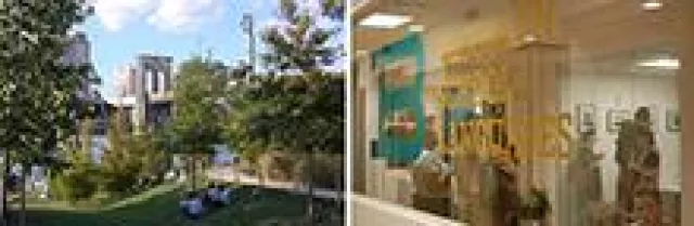 Bild: Über die Brooklyn Bridge ins aufstrebende Brooklyn